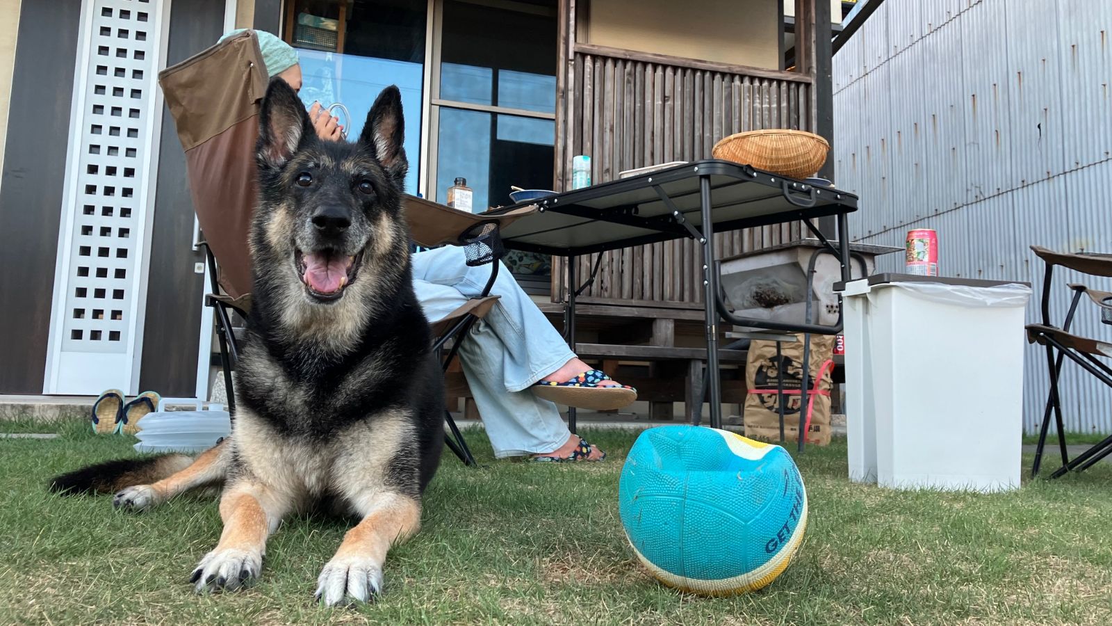 愛犬家住宅