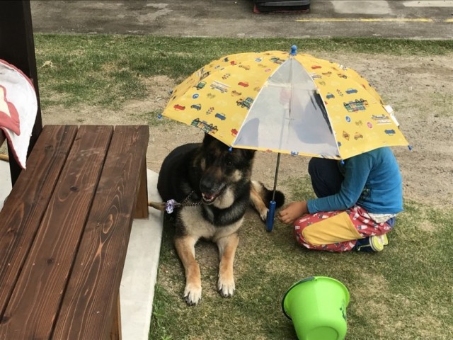 雨の中に優しさ。