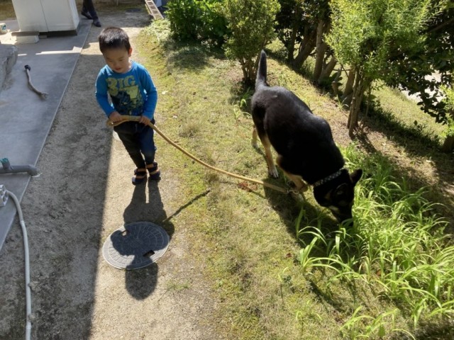 大工とCADで一枚板をクネクネさせる