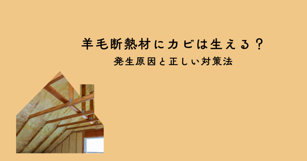 羊毛断熱材にカビは生える？発生原因と正しい対策法