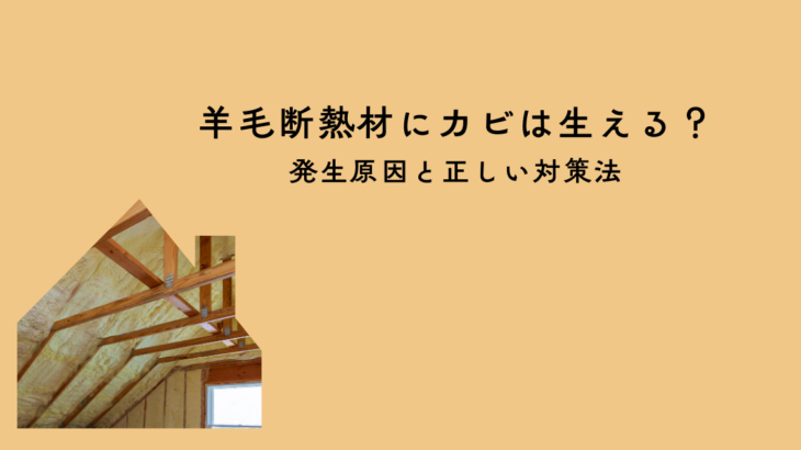 羊毛断熱材にカビは生える？発生原因と正しい対策法