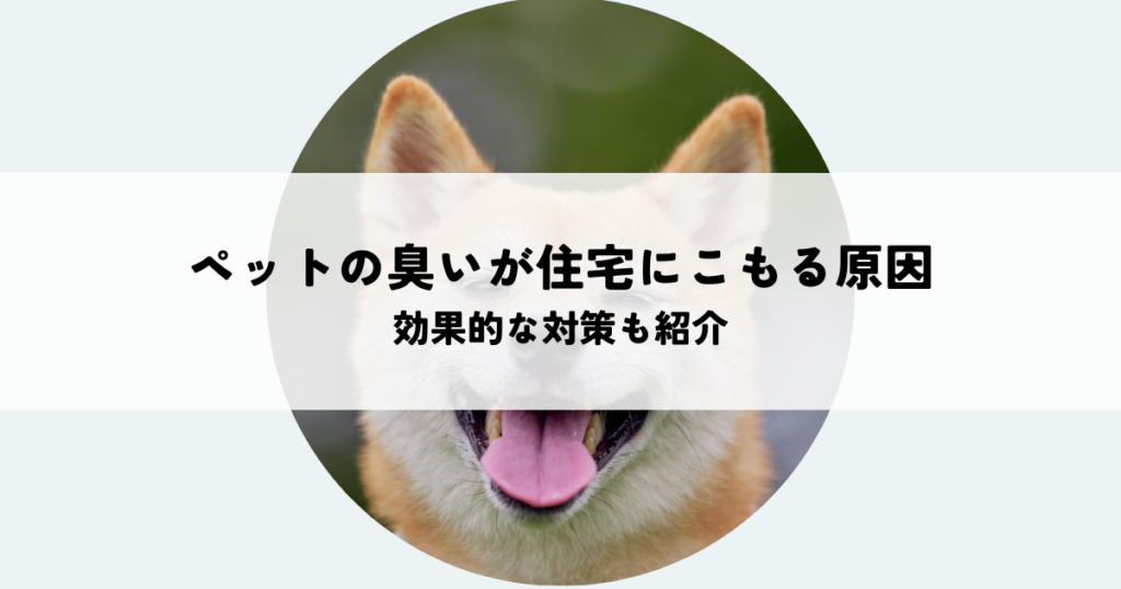 ペットの臭いが住宅にこもる原因とは？効果的な対策も紹介